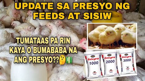 pagkain ng 45 days na sisiw